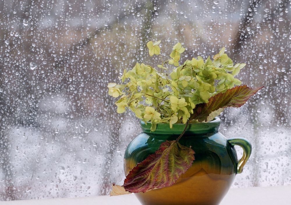 Зимний дождь