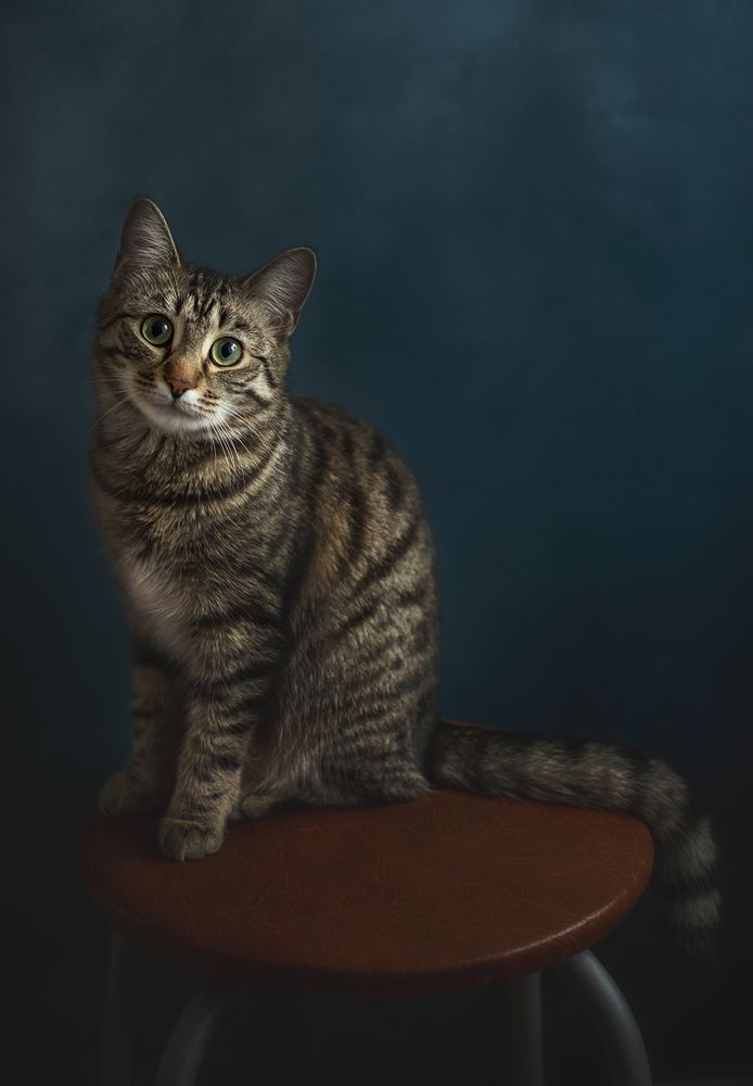 Photograph by Александр Чазов