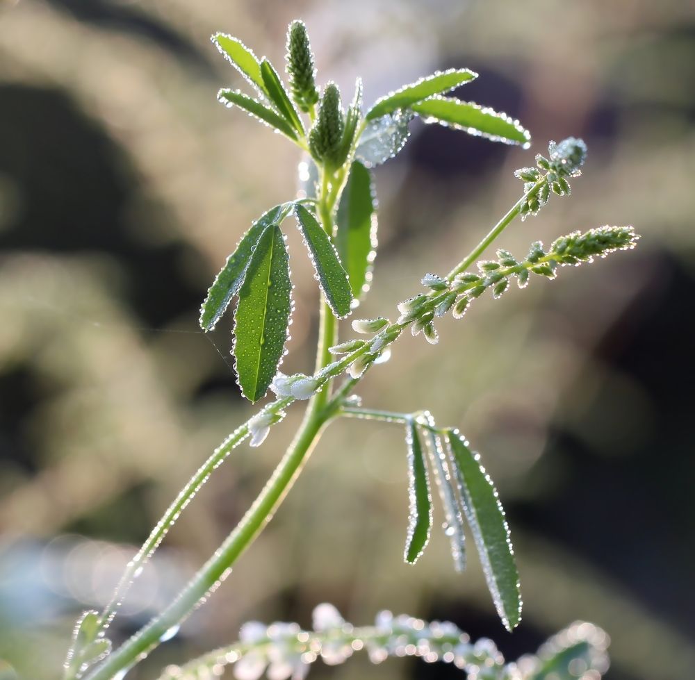 Photograph by Любовь Саханова
