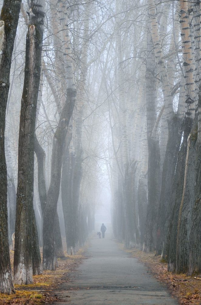 Photograph by Сидоров-Козин Павел