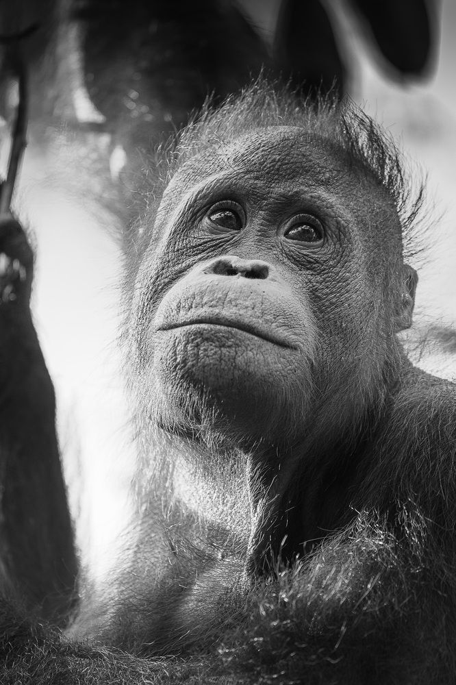 Photograph by Светлана Дмитриева