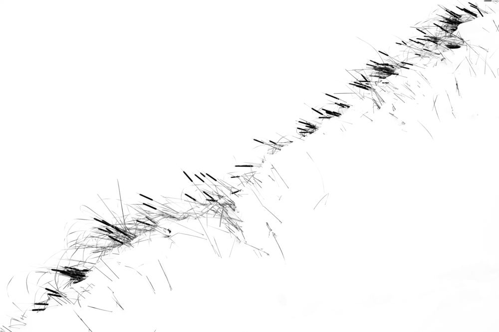 Фотография автора Клейменов Алексей