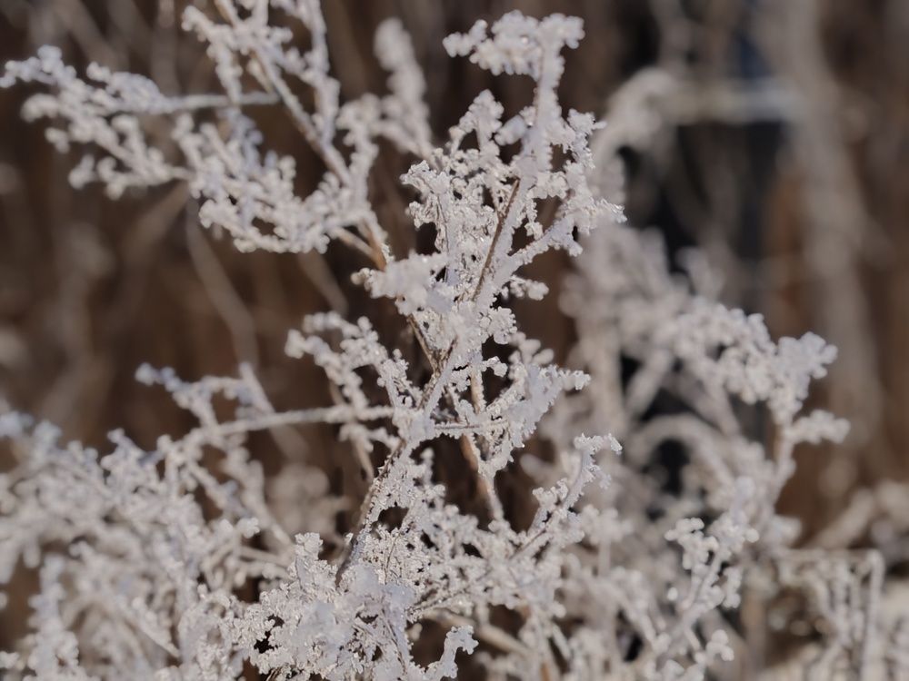 Photograph by Ольга Кузнецова