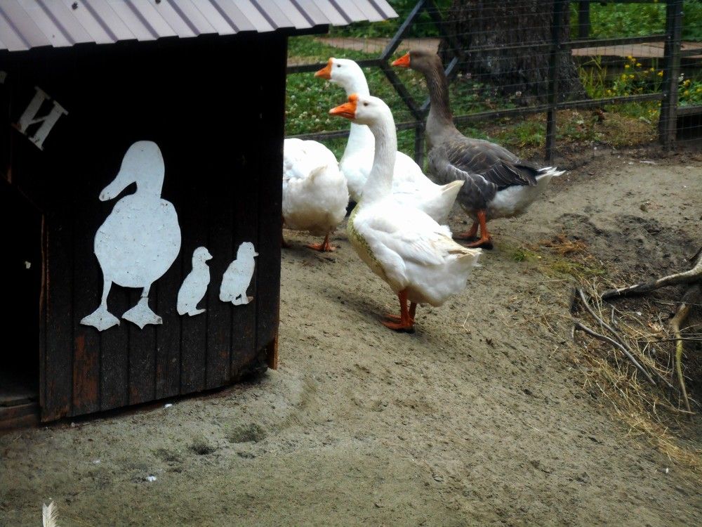 Photograph by Anyamaly