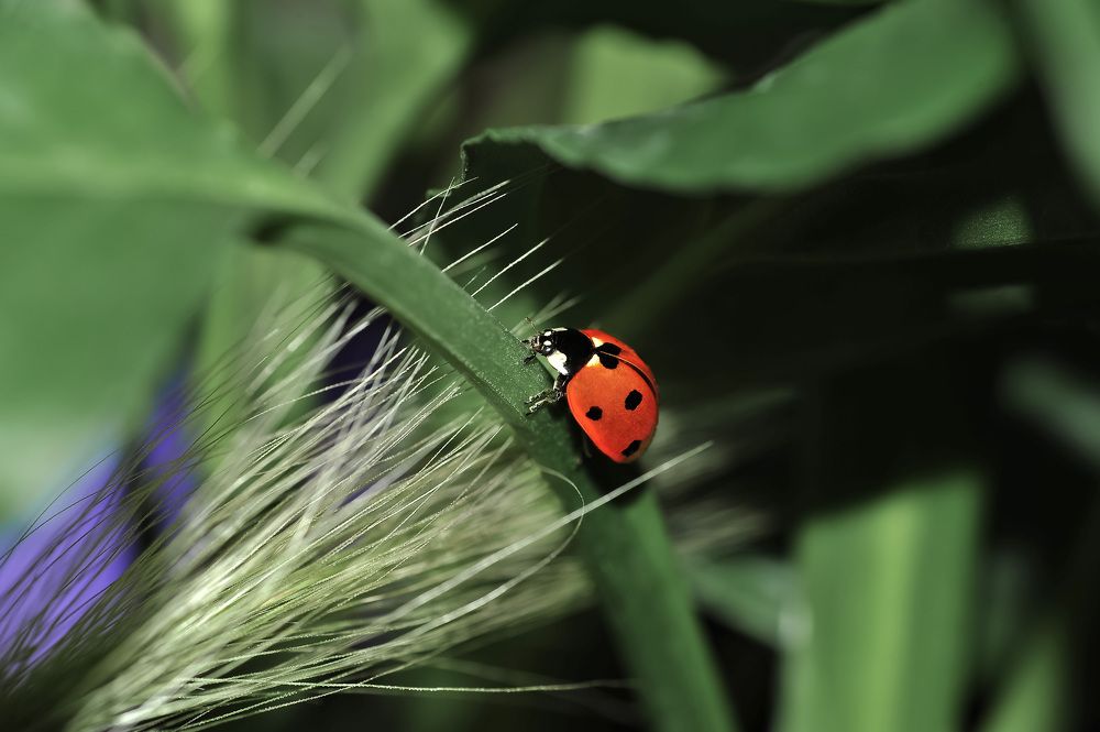 Фотография автора Дмитрий Герасимов