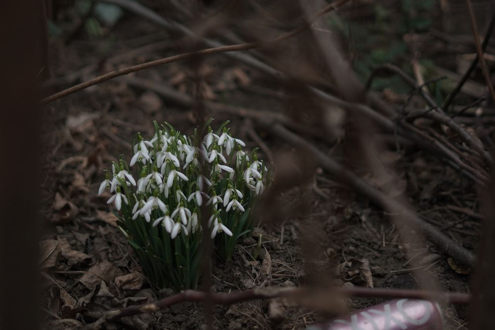 Фотография автора Nastasya Sablina