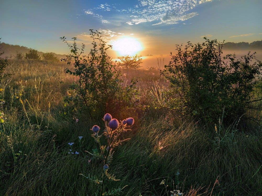 Photograph by Светлана Кондрашова