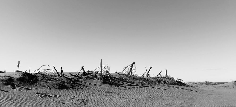 Photograph by Javier Batrosse