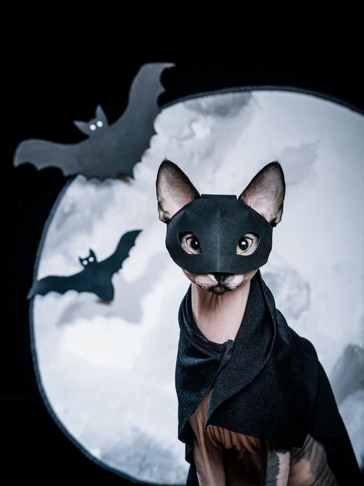 Photograph by Мария Егорова