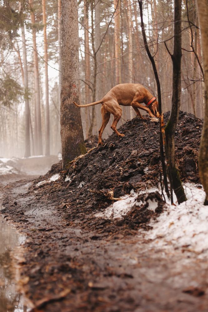 Photograph by Татьяна