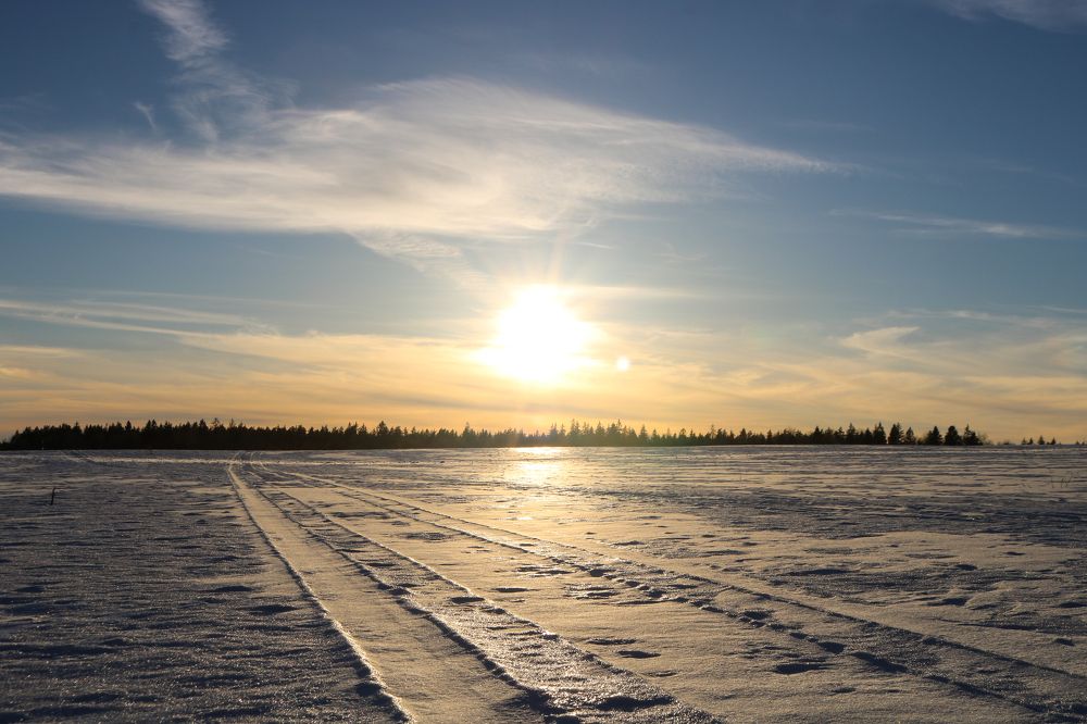 Photograph by Алексей Резниченко