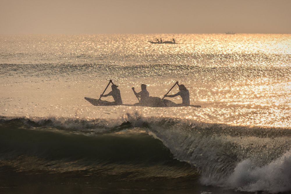 Photograph by PARTHA ROY