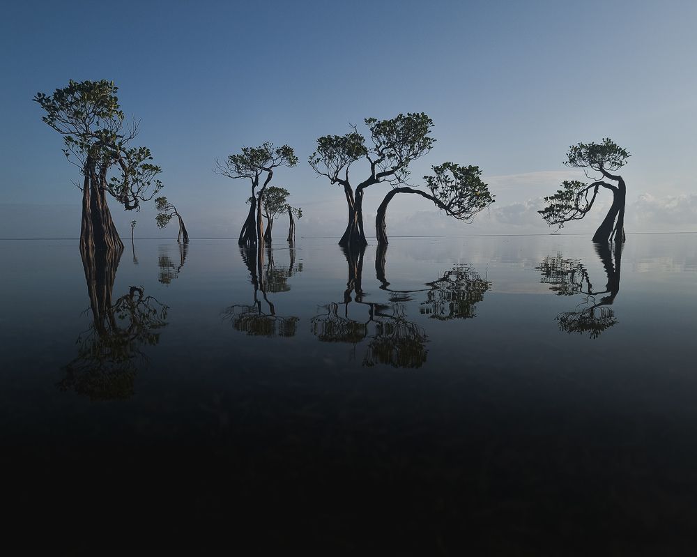 Photograph by Evgeny Pochaev