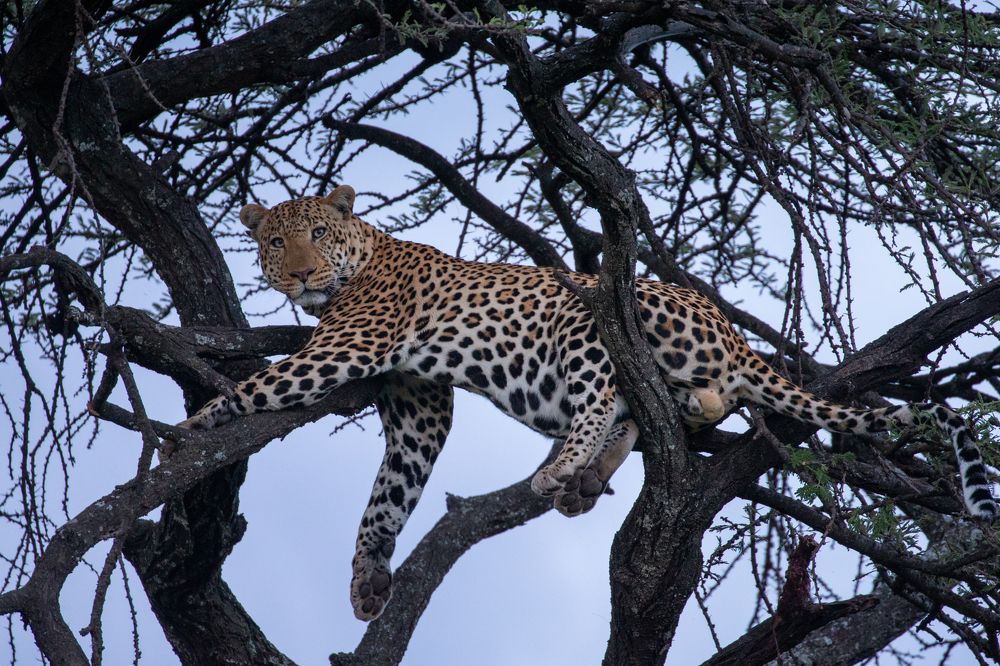 Photograph by Alexander Matrosov