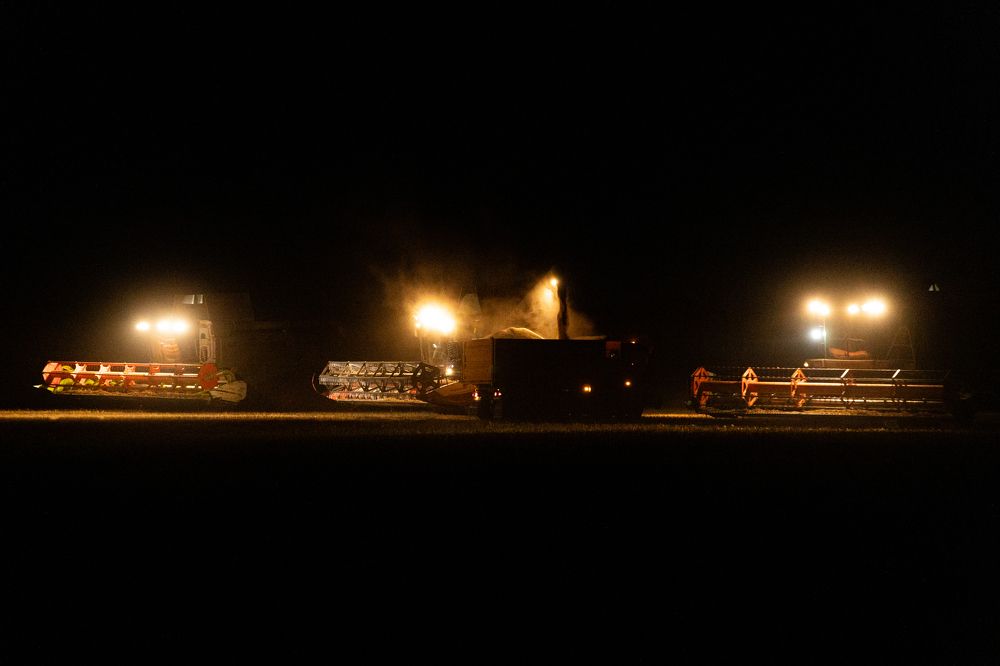 Ночная жатва