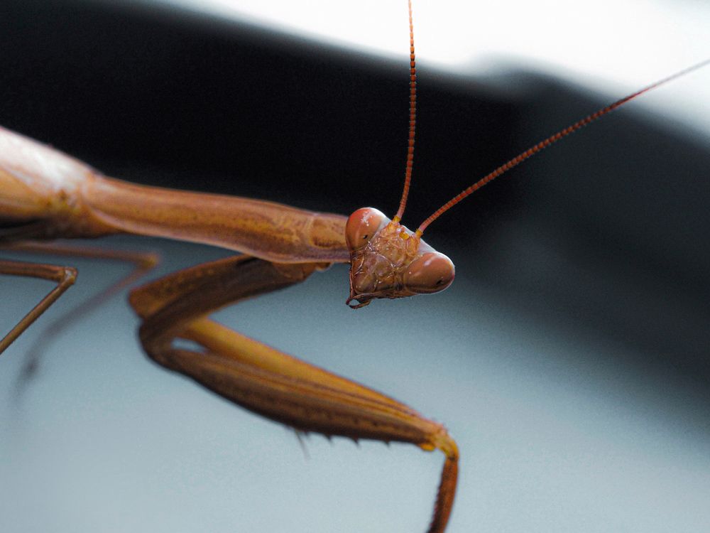 Photograph by Лейла Прощина