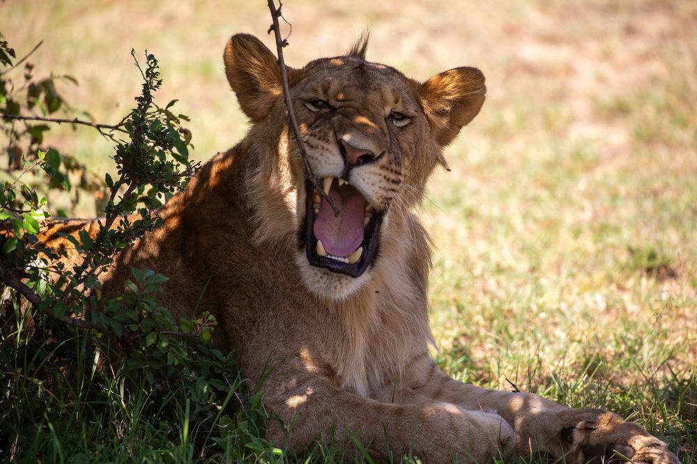 Photograph by Alexander Matrosov