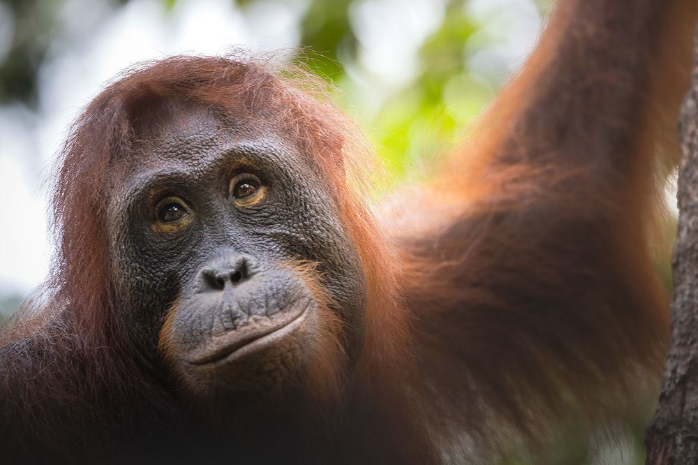 Photograph by Светлана Дмитриева