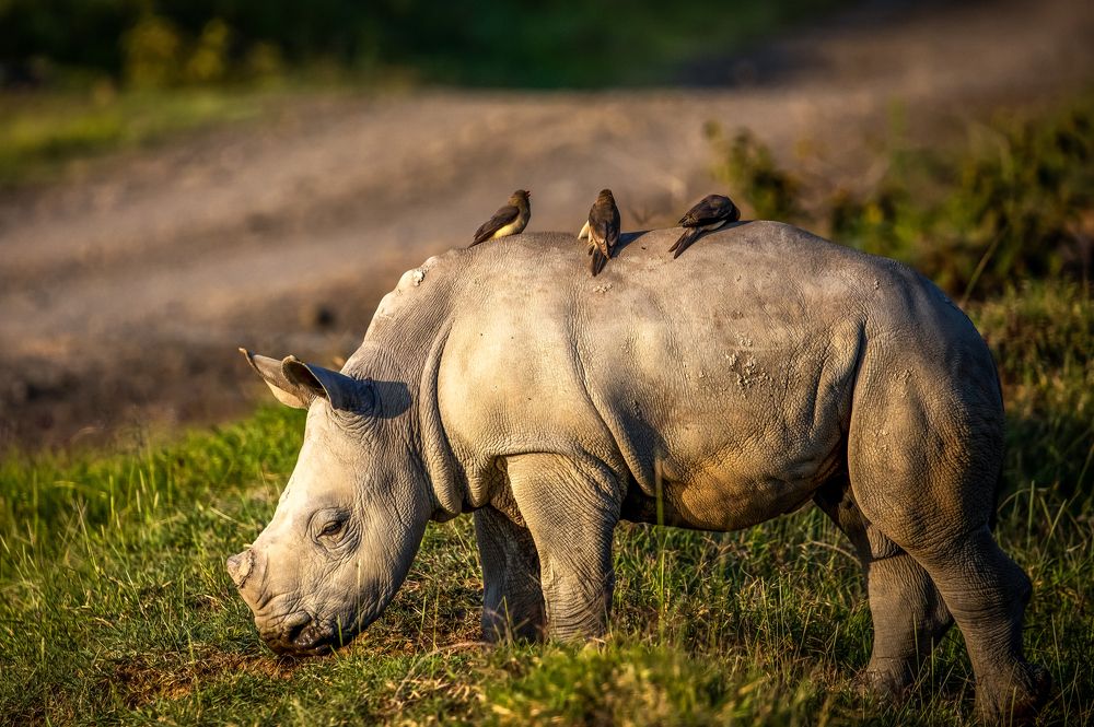 Photograph by Vita Potomova