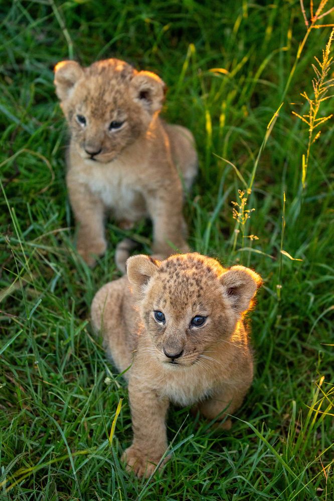 Photograph by Alexander Matrosov