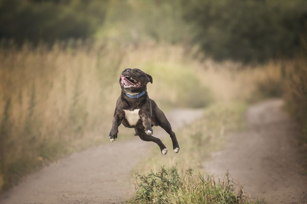 Photograph by Евгения Барановская