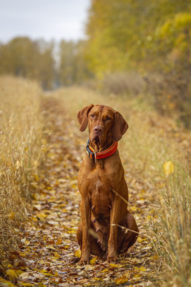 Photograph by Эльнара Васифовна