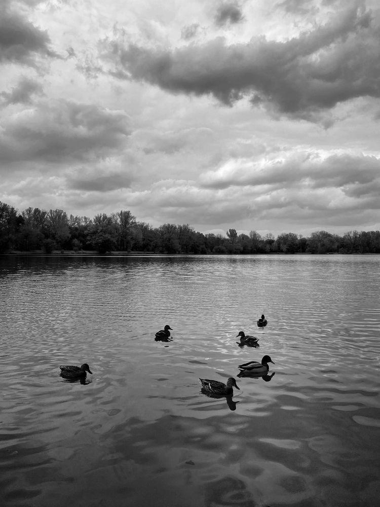 Photograph by Лариса