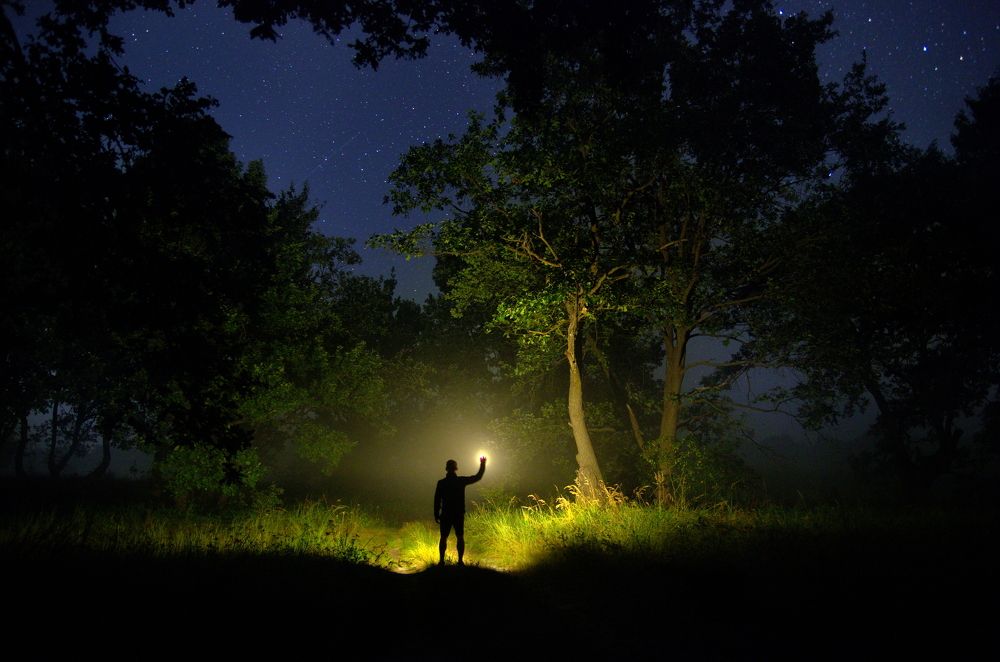 Photograph by Сергей Шляга