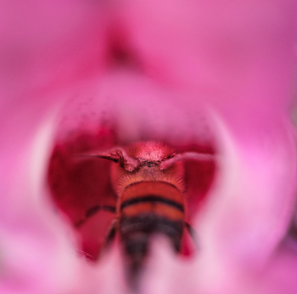 Photograph by Мария Фак