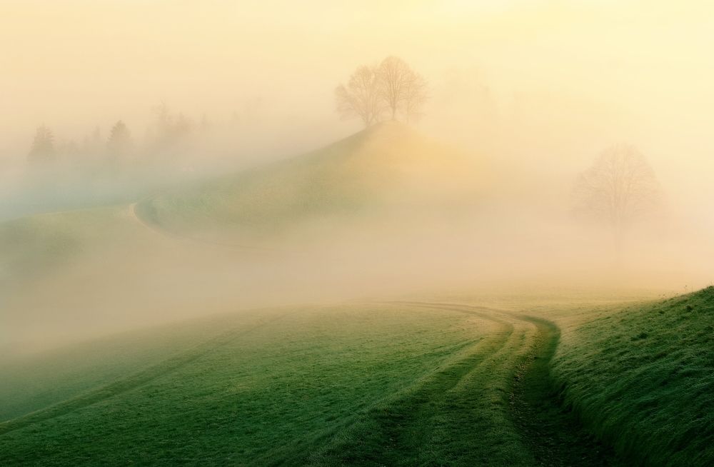 Photograph by Elena Wymann