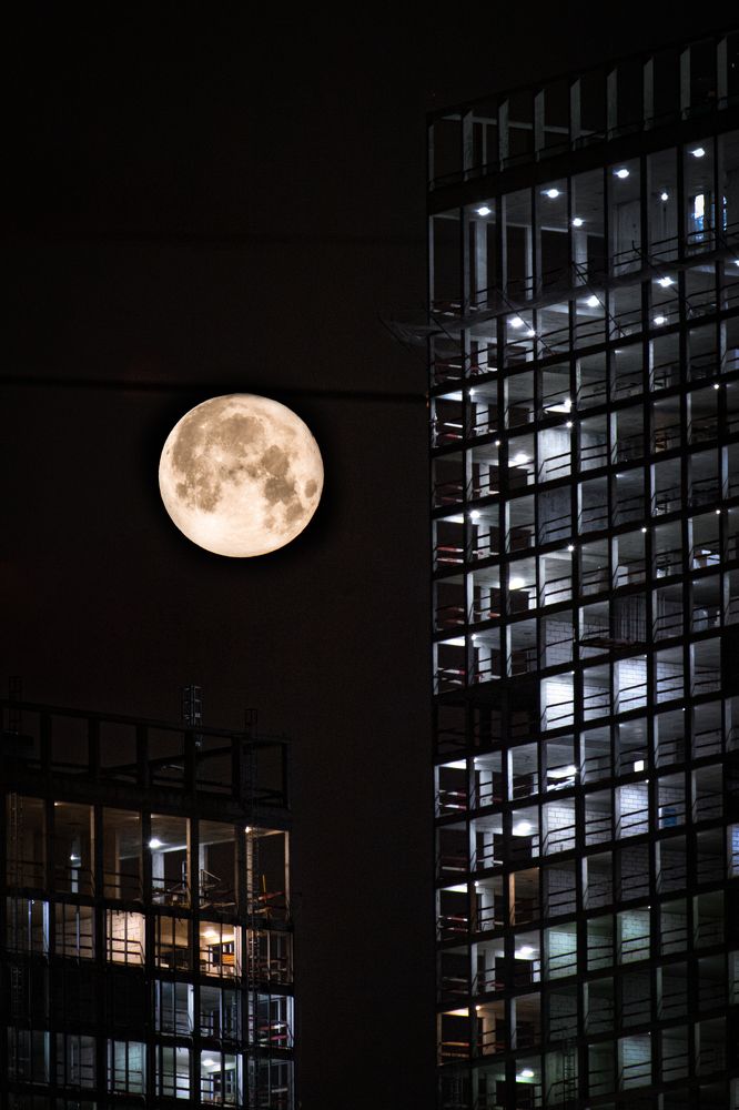 Photograph by Игорь Толкачев