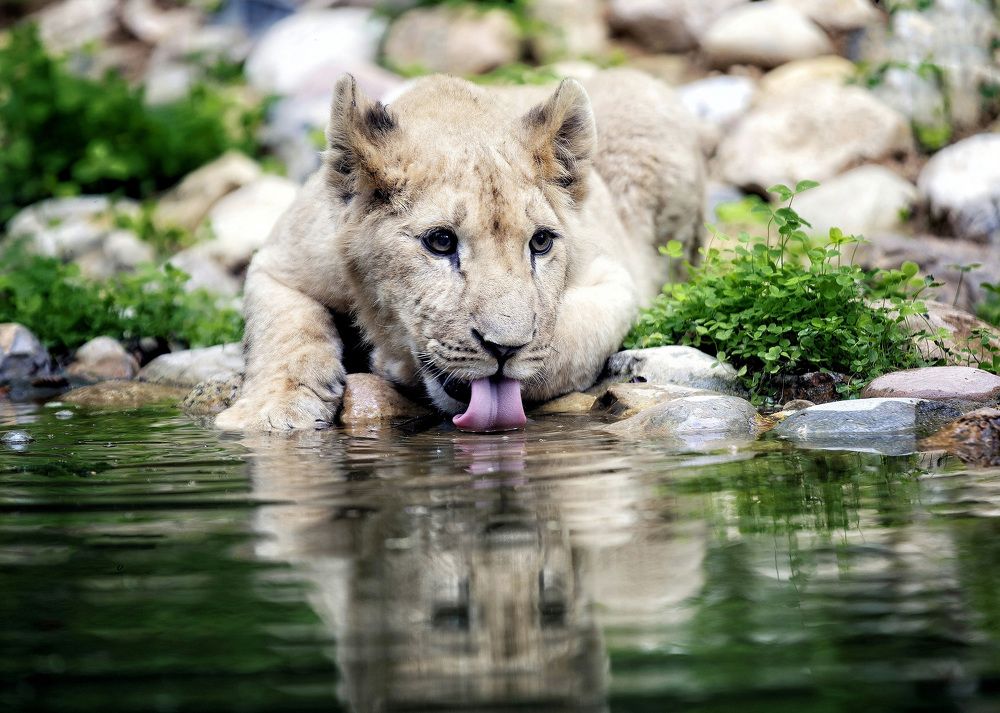 Photograph by Андрей Автухов