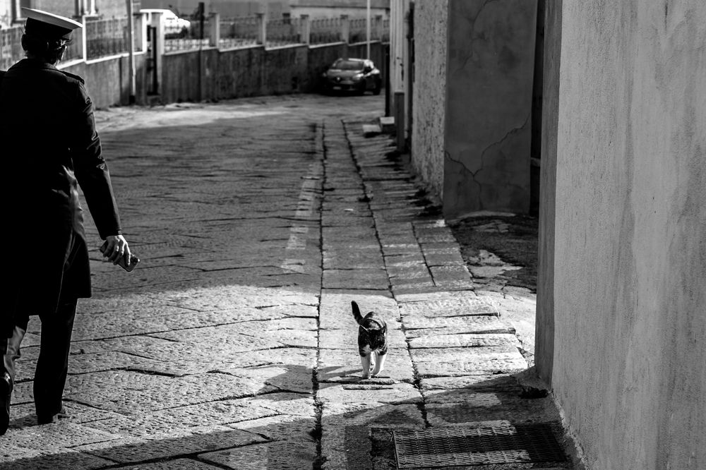 Фотография автора Aleksandra Iakovyshena