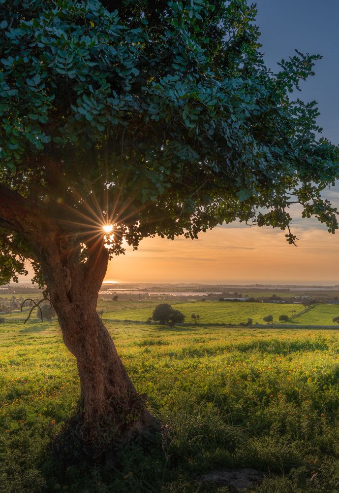 Photograph by Antonella Ventura