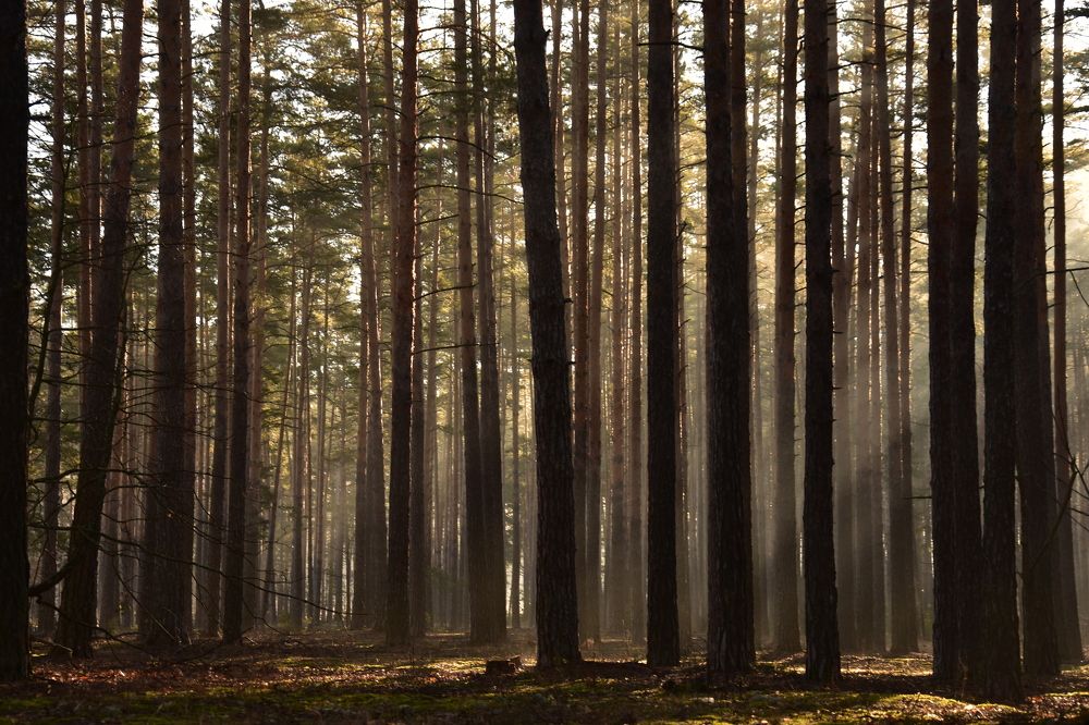 Photograph by Валерий Гудков