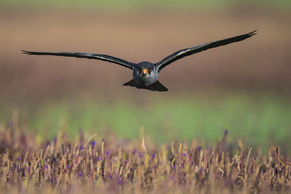 Photograph by Mohammed Salman