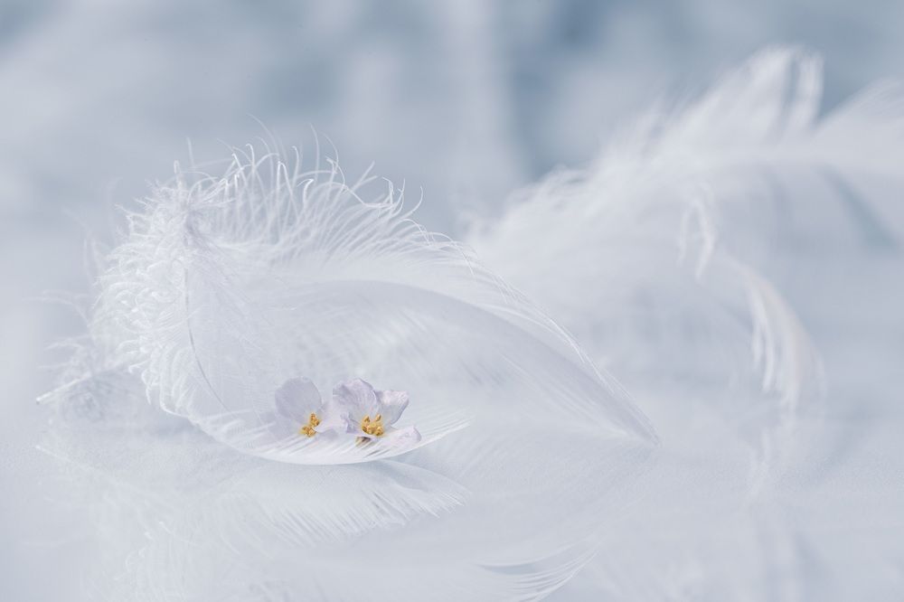 Photograph by Игорь Копцев