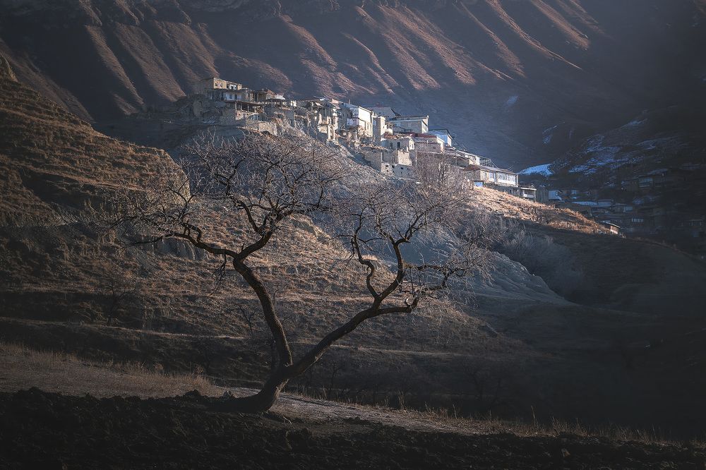 Photograph by Светлана Дмитриева