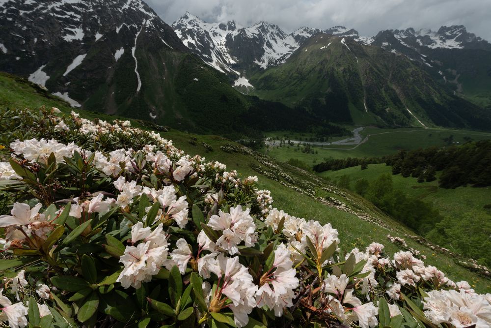 Photograph by Елена Вторушина