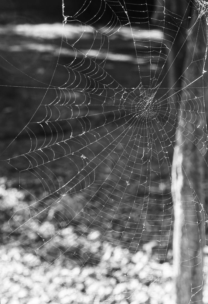 Фотография автора DIMITRIS MPAZIOTOPOULOS