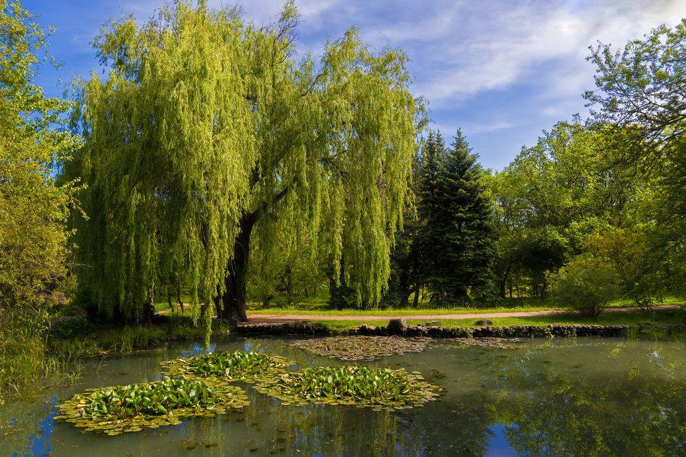 Photograph by Alex Kov