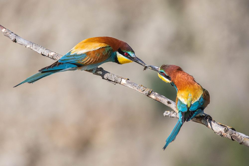 Photograph by Антон Лабачоў