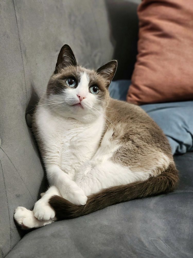 Photograph by Ольга Воронцова