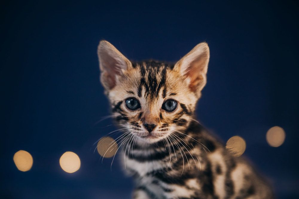 Фотография автора Анна