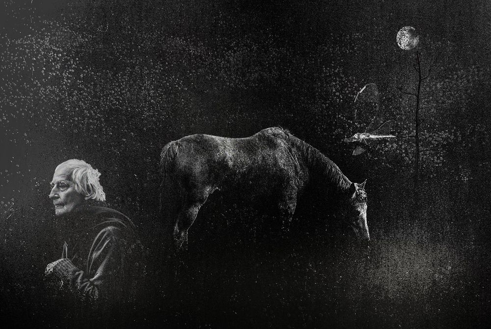 Photograph by Leonid Lan