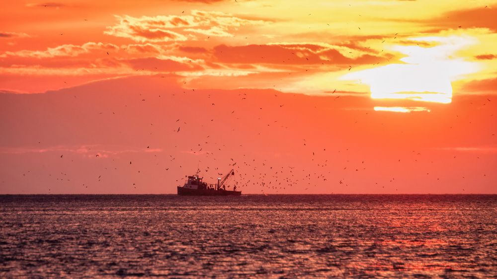 Photograph by Дудников Александр