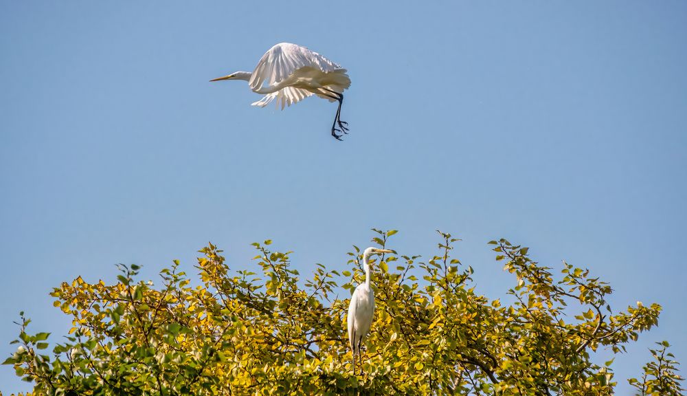 Photograph by Дудников Александр