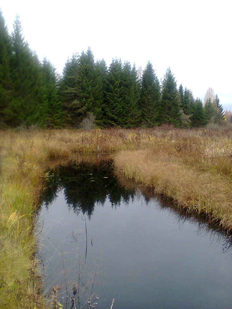 Фотография автора Михаил Смирнов