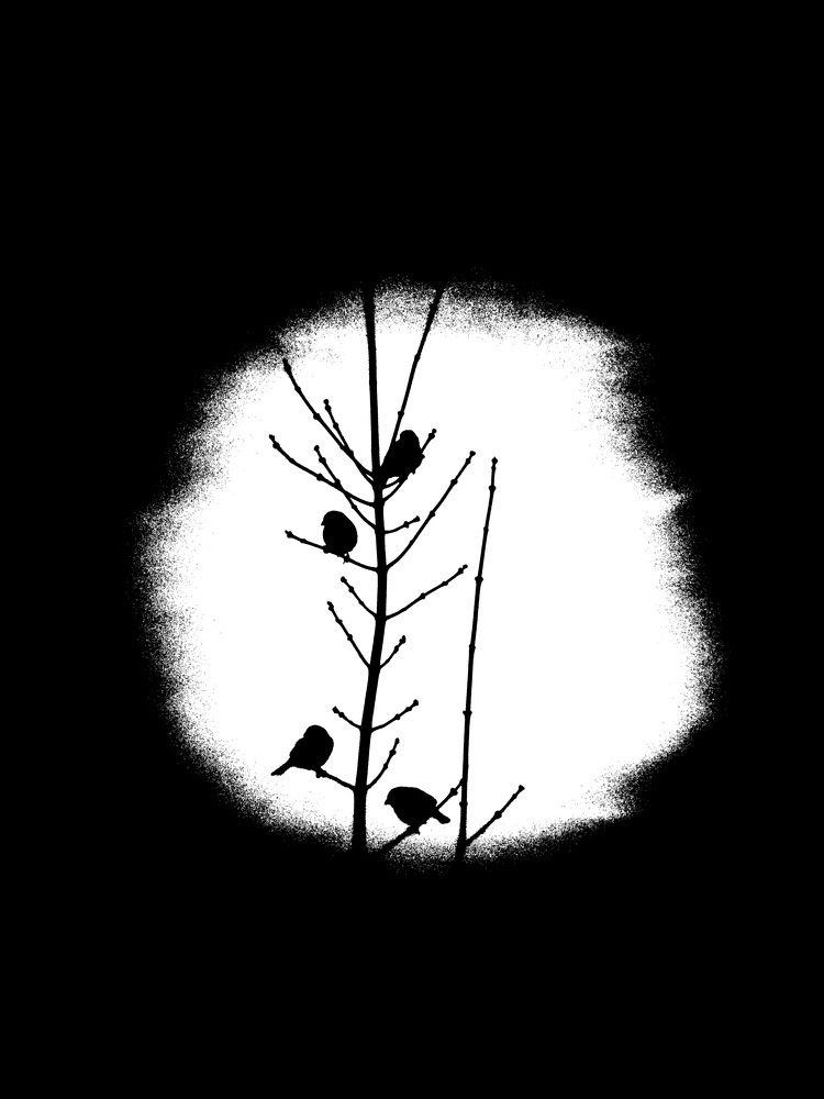 Photograph by Aliaksei Sauko