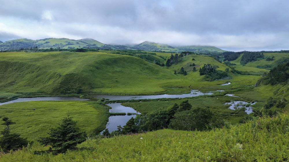 Photograph by Дарья Карамышева